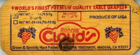 Ronnie Cloud s